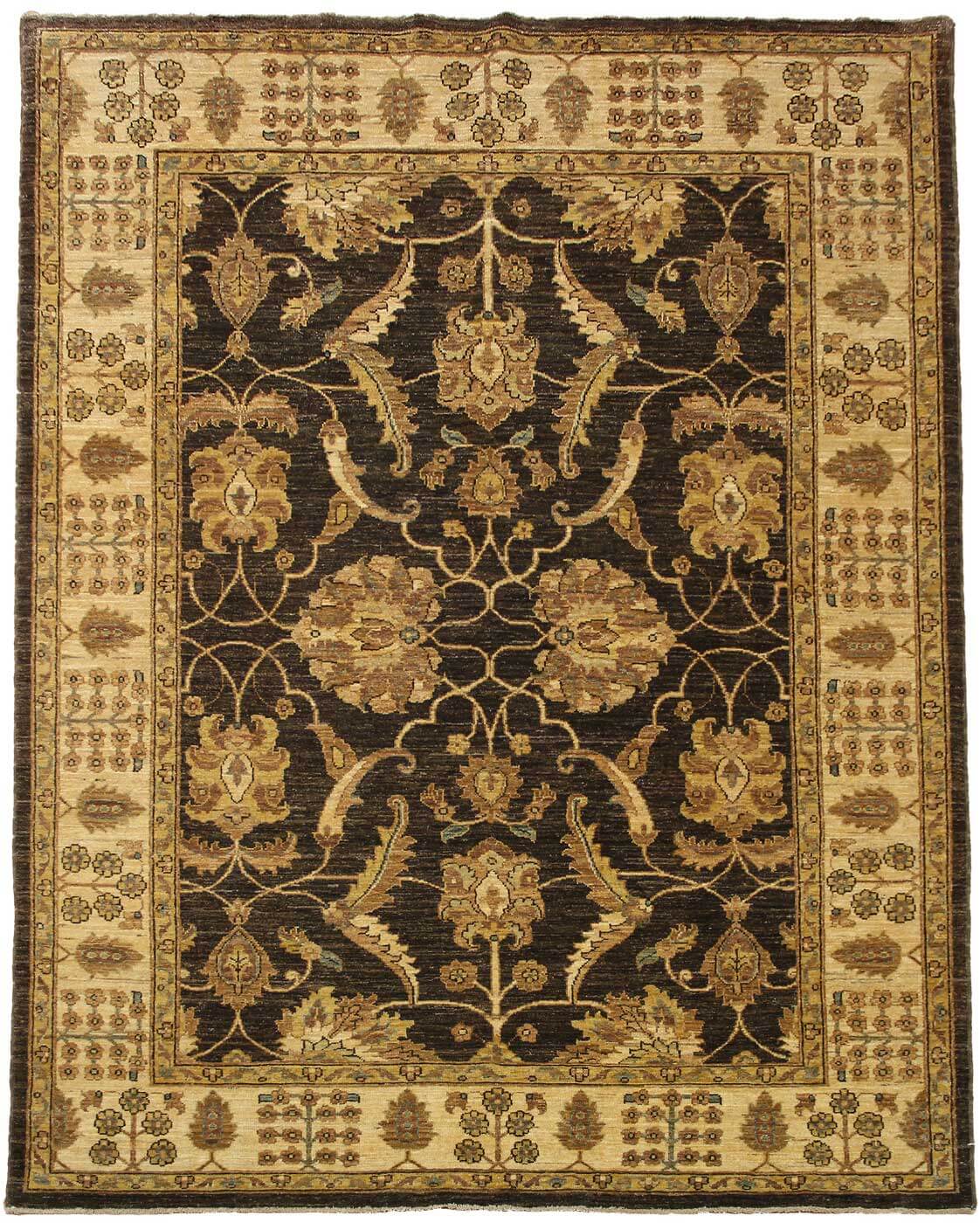 Hero image